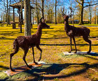Wire Animal Art Project